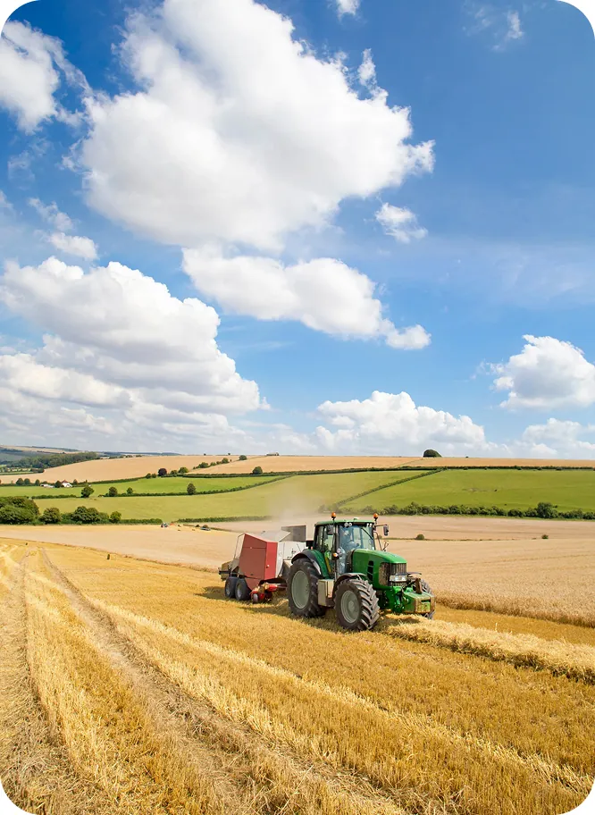 AI consulting for Agriculture and Field