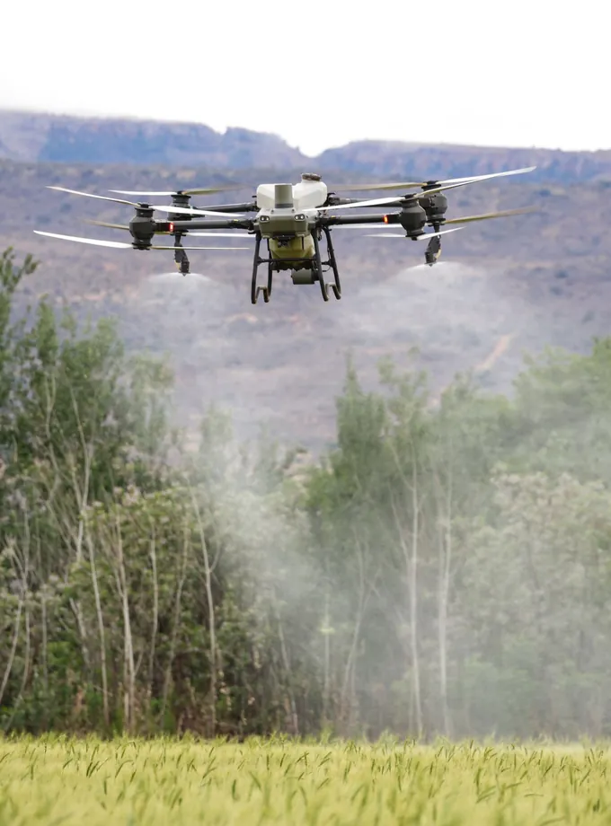Agricultural spraying drone flying over a green wheat field, misting crops with trees and hills behind